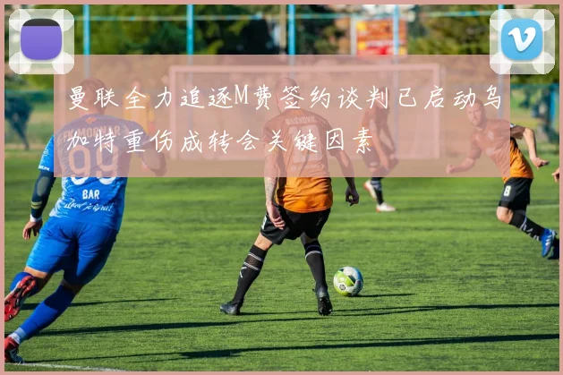 曼联全力追逐M费签约谈判已启动乌加特重伤成转会关键因素